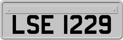 LSE1229