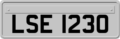 LSE1230