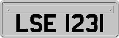 LSE1231