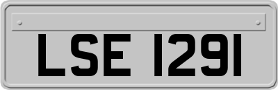 LSE1291