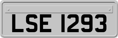 LSE1293