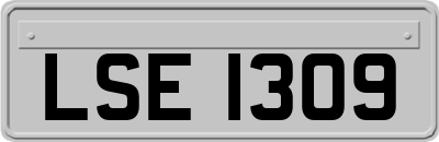 LSE1309