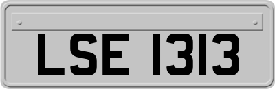 LSE1313