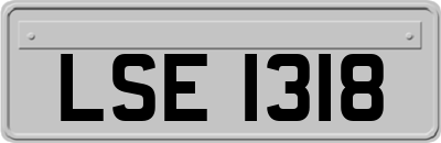 LSE1318