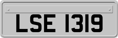 LSE1319