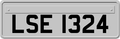 LSE1324