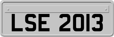 LSE2013