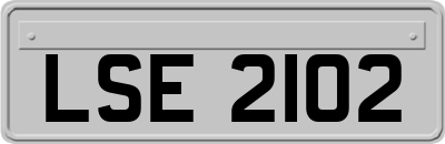 LSE2102