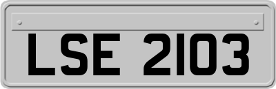 LSE2103