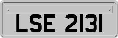 LSE2131
