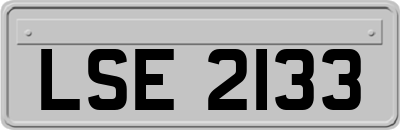 LSE2133