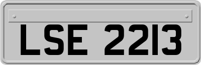 LSE2213