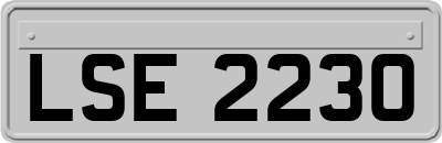 LSE2230