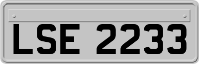 LSE2233