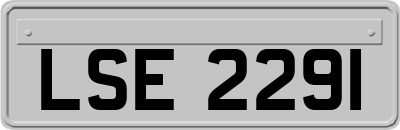 LSE2291