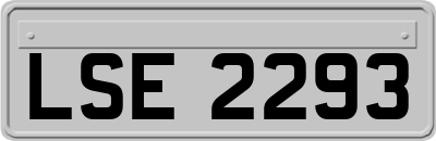LSE2293