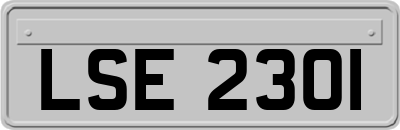 LSE2301