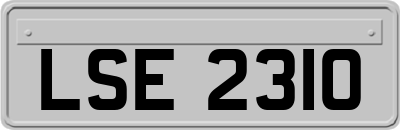 LSE2310