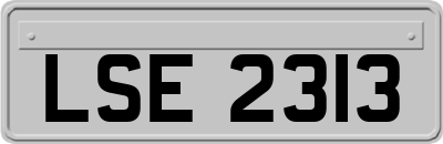 LSE2313