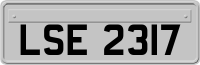 LSE2317