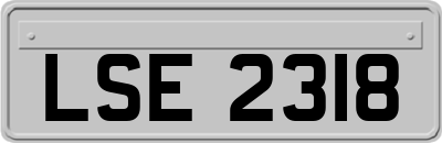 LSE2318