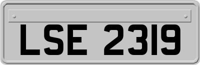 LSE2319