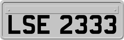 LSE2333