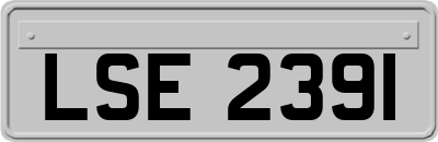 LSE2391