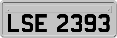 LSE2393