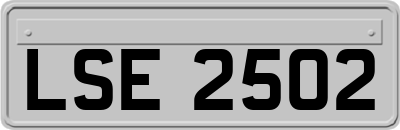 LSE2502