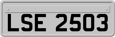 LSE2503