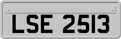 LSE2513