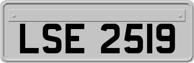 LSE2519
