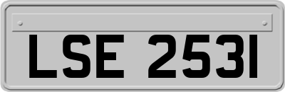 LSE2531