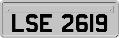 LSE2619