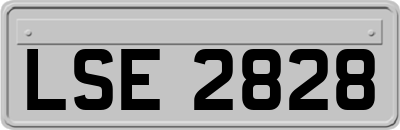 LSE2828