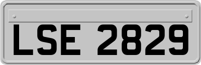 LSE2829