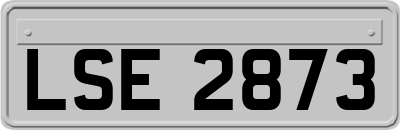 LSE2873