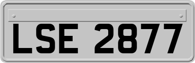 LSE2877