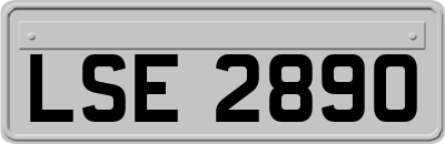 LSE2890