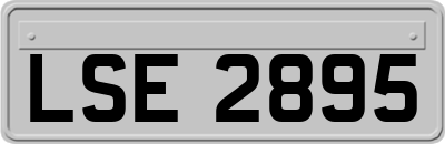 LSE2895