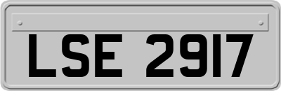 LSE2917