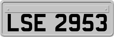 LSE2953