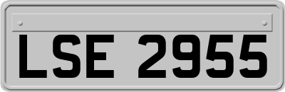 LSE2955