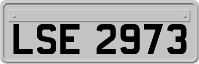 LSE2973