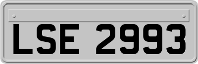 LSE2993