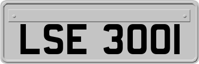 LSE3001