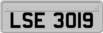 LSE3019