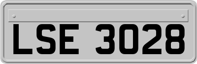 LSE3028