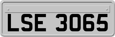 LSE3065